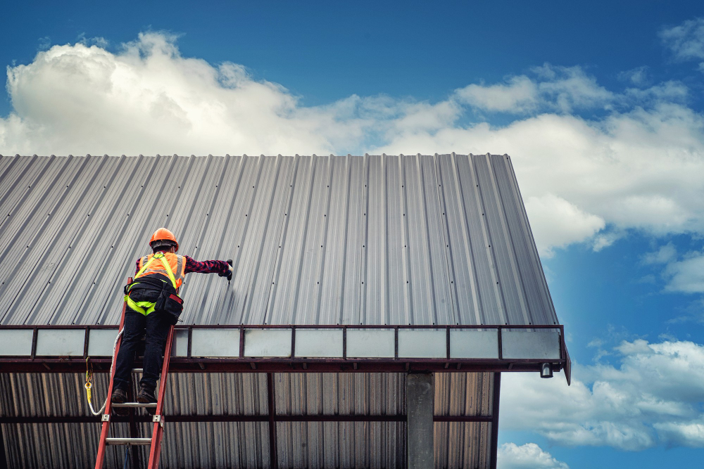 Eco-Friendly Commercial Roofing Options You Should Know About
