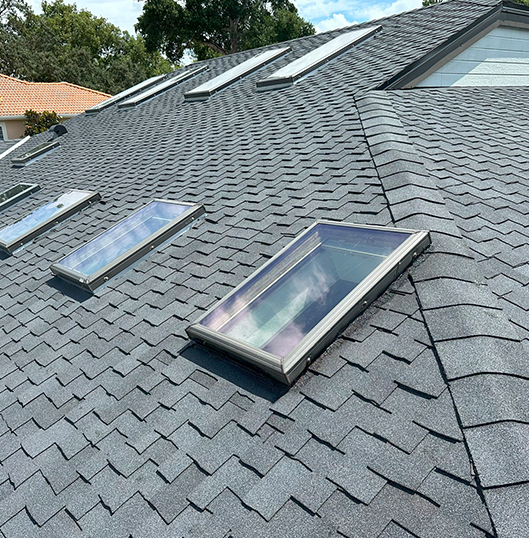 Shingle Roof