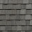 Georgetown Gray Shingle Roof