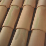 Turino Blend