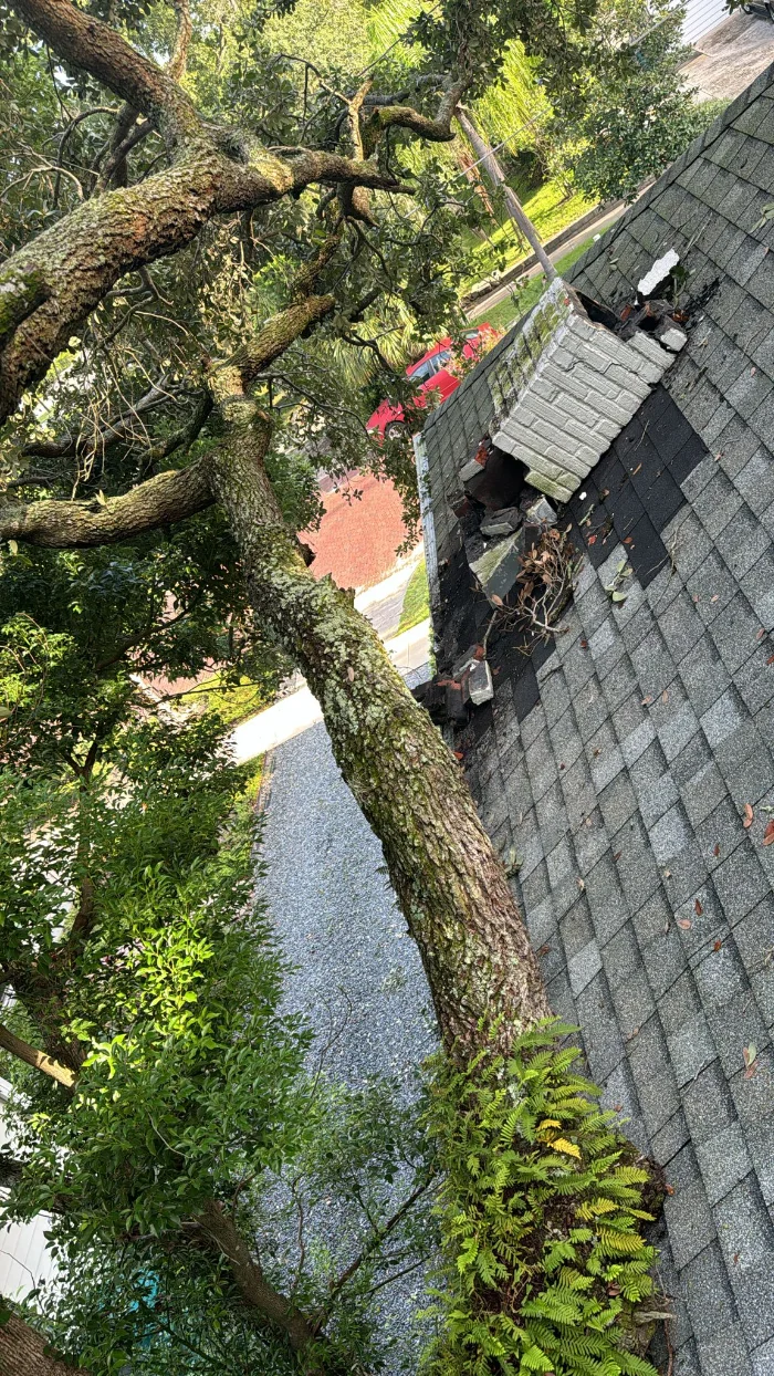 century-roofing-shingle-roof-3