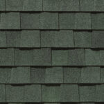 Max Def Evergreen Shingle Roof